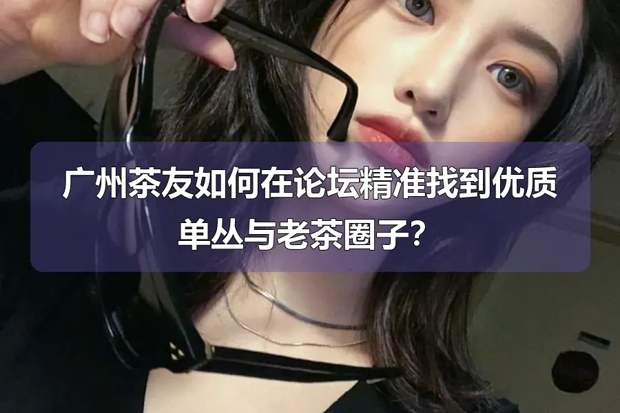 广州茶友如何在论坛精准找到优质单丛与老茶圈子？
